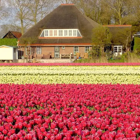 Nieuwesluis Farm stay