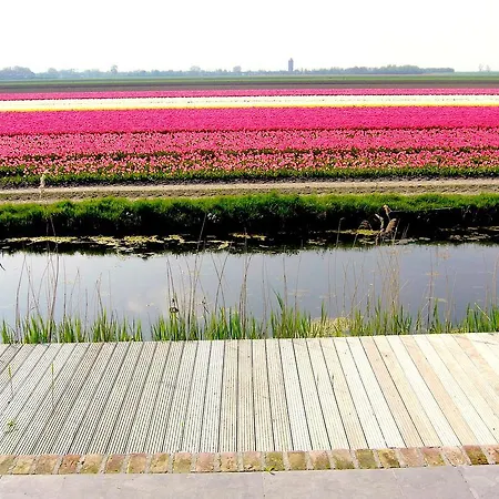 Farm stay Nieuwesluis