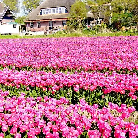 Farm stay Nieuwesluis *